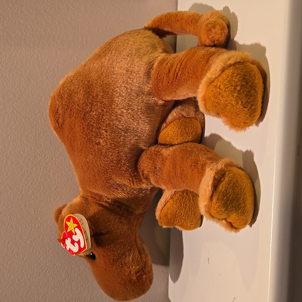 TY Humphrey Camel
